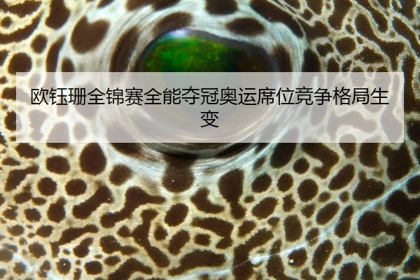 ou-yu-shan-quan-jin-sai-quan-neng-duo-guan-ao-yun-xi-wei-jing-zheng-ge-ju-sheng-bian-2-531.jpg