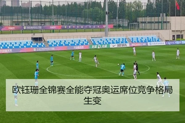 ou-yu-shan-quan-jin-sai-quan-neng-duo-guan-ao-yun-xi-wei-jing-zheng-ge-ju-sheng-bian-3-619.jpg