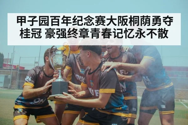 甲子园百年纪念赛大阪桐荫勇夺桂冠 豪强终章青春记忆永不散